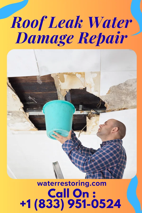 Roof Leak Water Damage Repair in Acala, TX