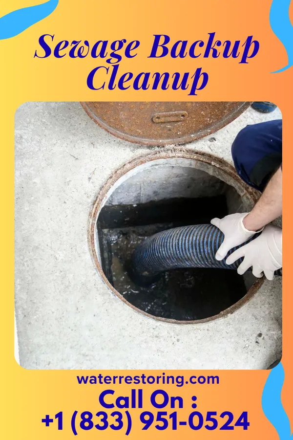 Sewage Backup Cleanup in Acala, TX